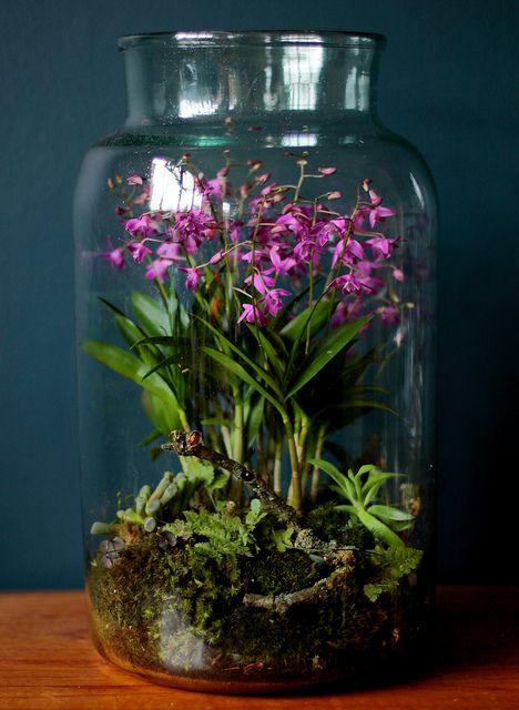 a big jar with moss, greenery and spring blooms