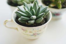 18 vintage tea cups with succulents