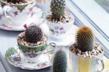 19 a whole vintage tea cup garden with cacti