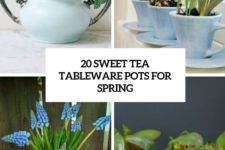 20 sweet tea tableware pots for spring cover