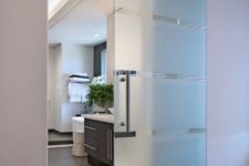 21 chic modern frosted glass door for a bathroom