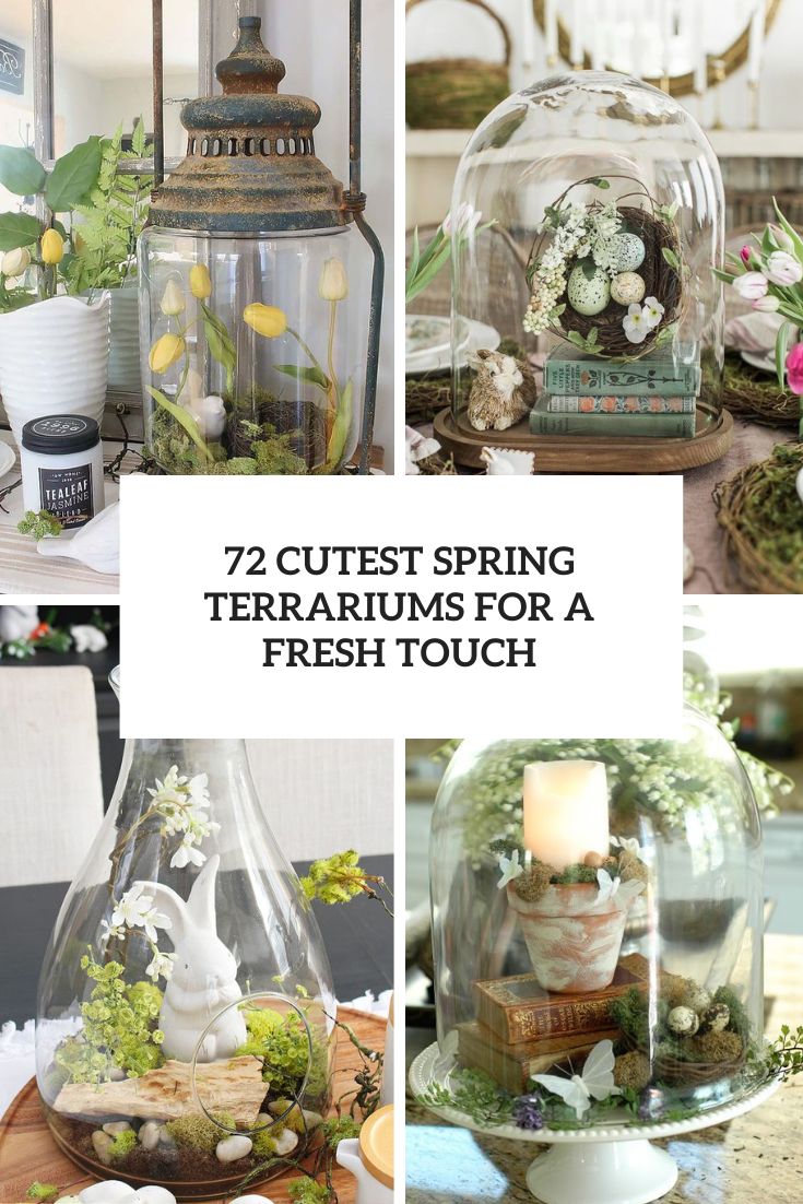 72 Cutest Spring Terrariums For A Fresh Touch