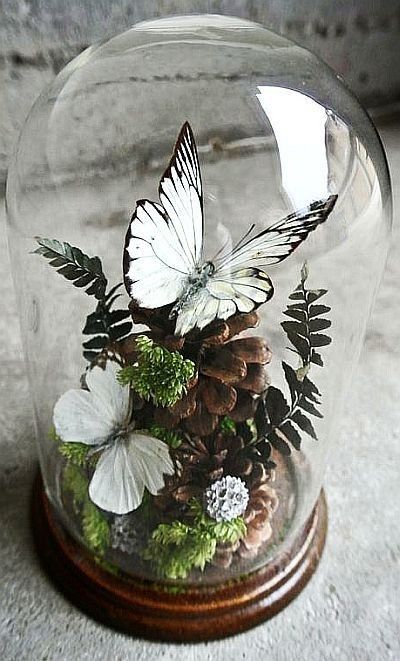 a beautiful cloche terrarium with pinecones, moss, greenery and white butterflies is a lovely decoration for spring