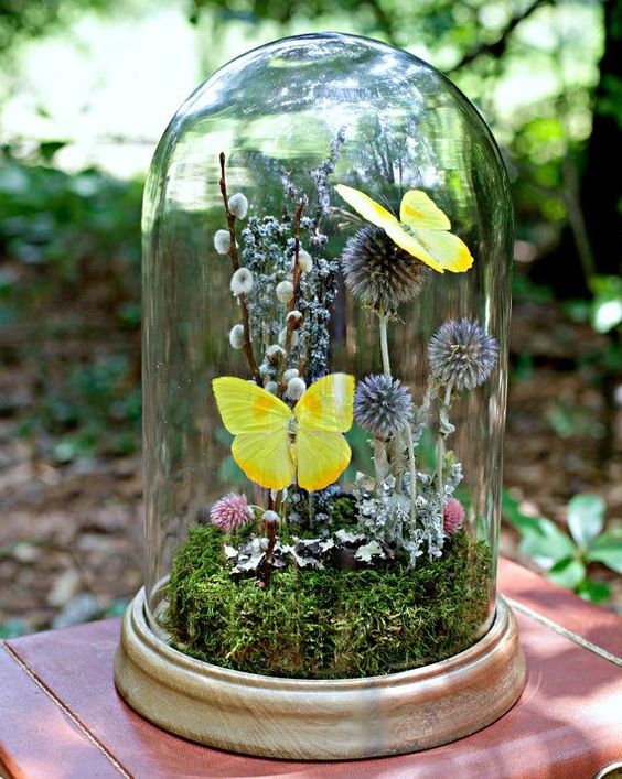 a bright spring terrarium with moss, yellow butterflies, dried blooms and willow is a lovely idea for spring decor