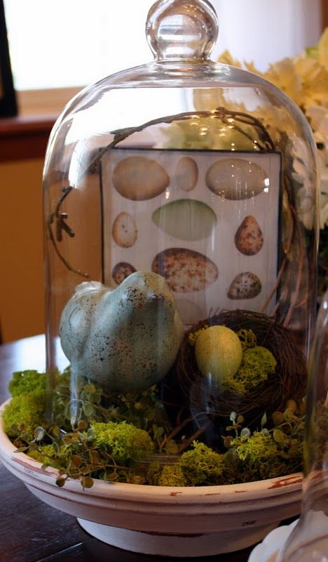 a creative Easter terrarium with moss, a faux nest, a bird and an egg and a little gg sign is a cool decoration