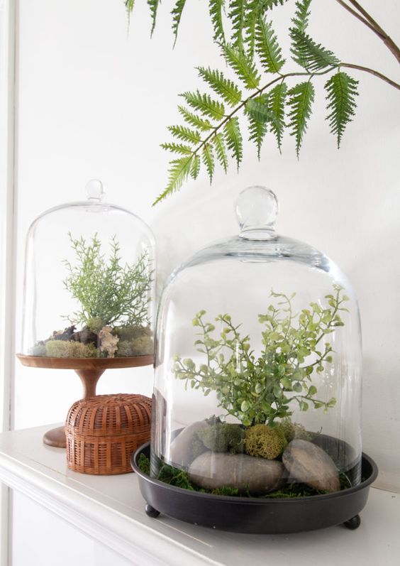 a duo of spring terrariums with greenery, moss and large rocks is a cool idea for spring decorating, and making them won’t take long