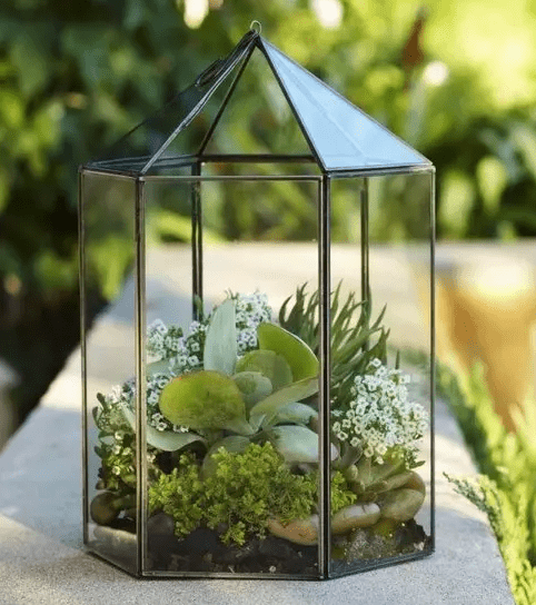 a faceted terrarium with pebbles, greenery, a succulent and white blooms is a stylish idea with a light spring feel