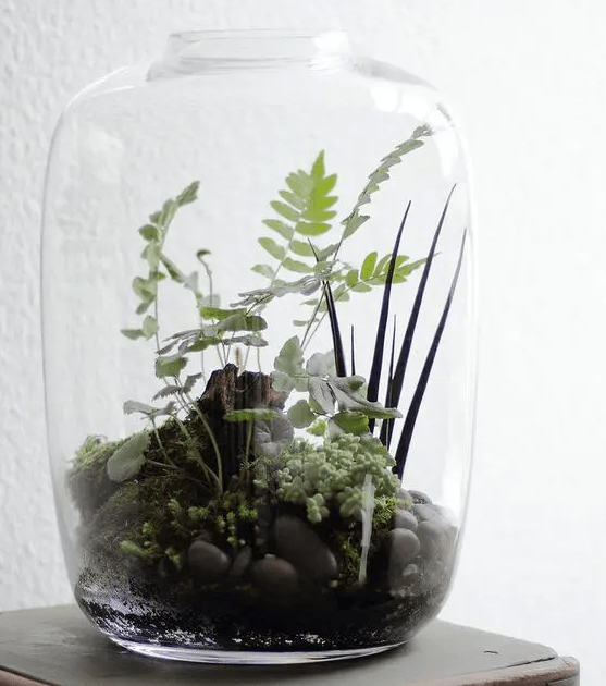a glass jar with greenery, pebbles and driftwood looks very natural and feels like woodlands in spring