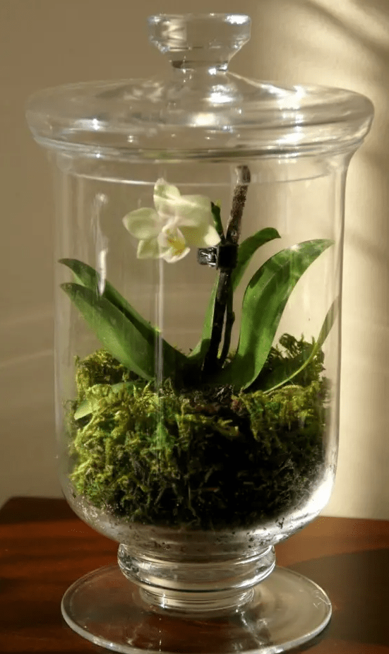 a jar with moss and a single bulb is a pretty and easy decoration to rock in spring, it will add a fresh touch to the space