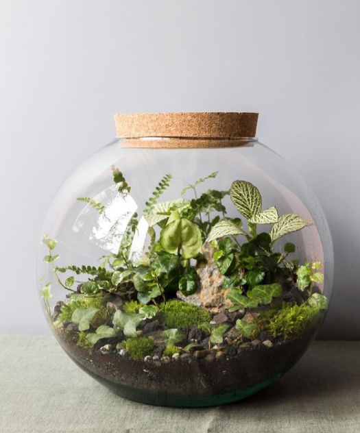 a lovely spring terrarium with greenery growing inside and some rocks is a cool decoration for spring
