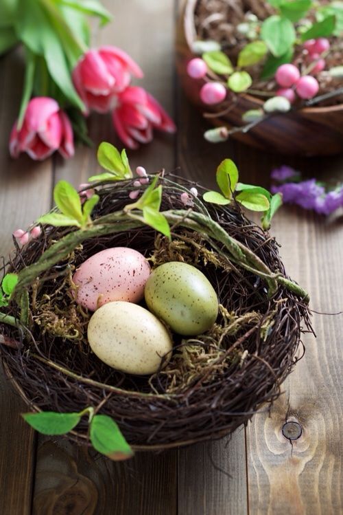 a nest with pastel eggs and some greenery is a cool idea for spring and Easter decor