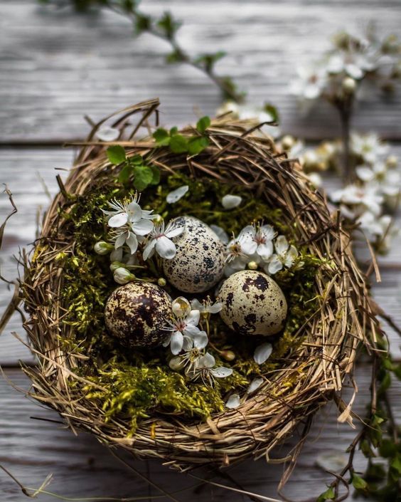 a rustic Easter nest of grasses, moss, speckled eggs and fresh blooms looks very natural