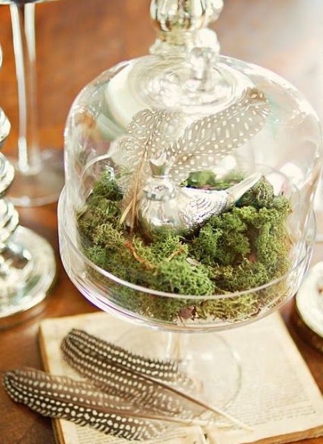 a spring terrarium with moss, a silver bird and feathers is a cool decoration to rock in any space