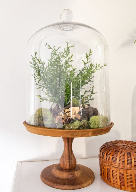 a spring terrarium with moss, pebbles, greenery is a lovely idea for spring decor, for mantels or other places