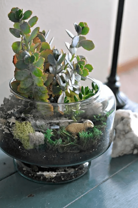 a terrarium with grass, moss, pebbles, succulents and a mini rabbit is a pretty idea for a spring-inspired space