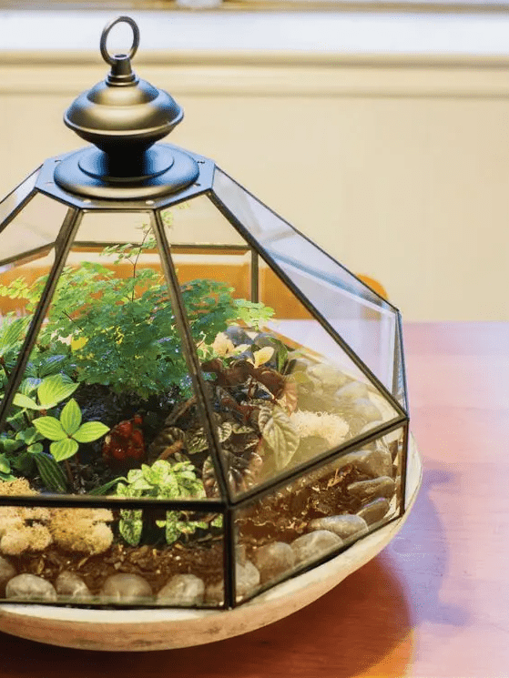 a terrarium with pebbles, moss, greenery and colorful plants will bring a vintage spring feel to the space