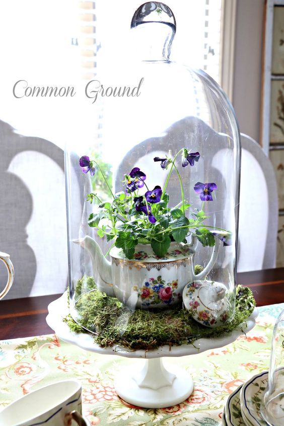 a vintage spring terrarium with moss, a vintage teapot with bright blooms is a cool decoration for spring
