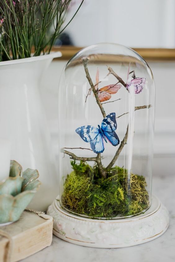 a white cloche with moss, branches and butterflies is a lovely spring decoration to rock, it looks very nice and cool
