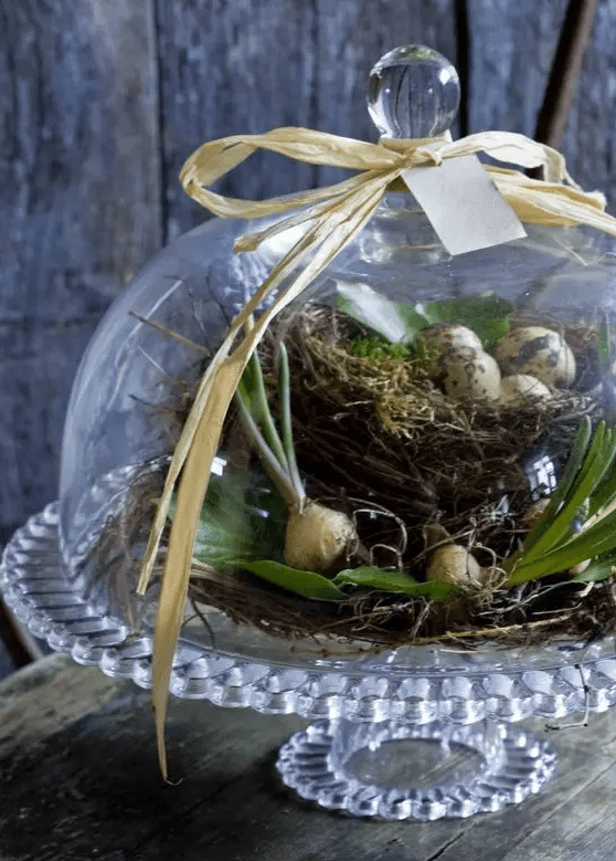 an Easter cloche centerpiece with a faux nest and eggs and some bulbs topped with a bow is a cool decoration