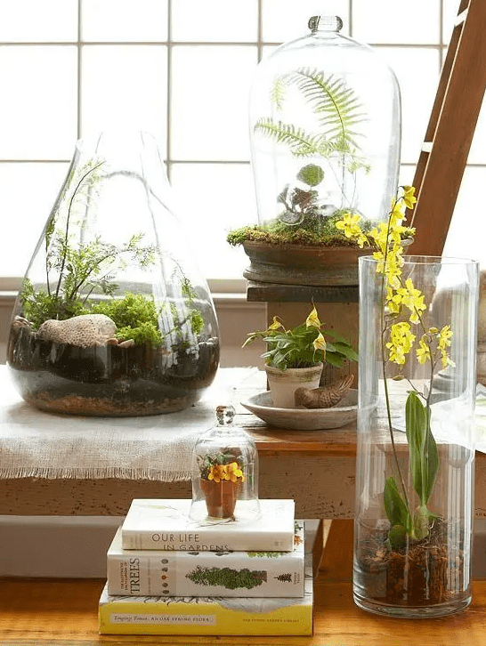 an arrangement of various glass vases with greenery, moss, blooms, ferns and pebbles will turn your space into a spring one