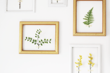 DIY 3D framed botanical wall