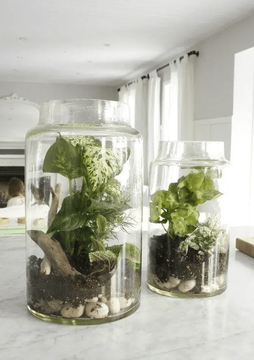 Glass jars with pebbles, driftwood, greenery look very wild, pretty and spring like, they will add a fresh touch to the space