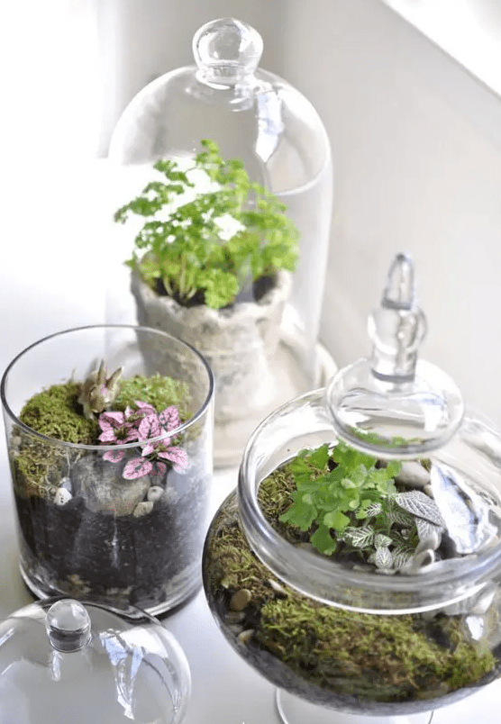 jars and a cloche with moss, greenery, pebbles and bunnies are amazing for a spring-inspired space