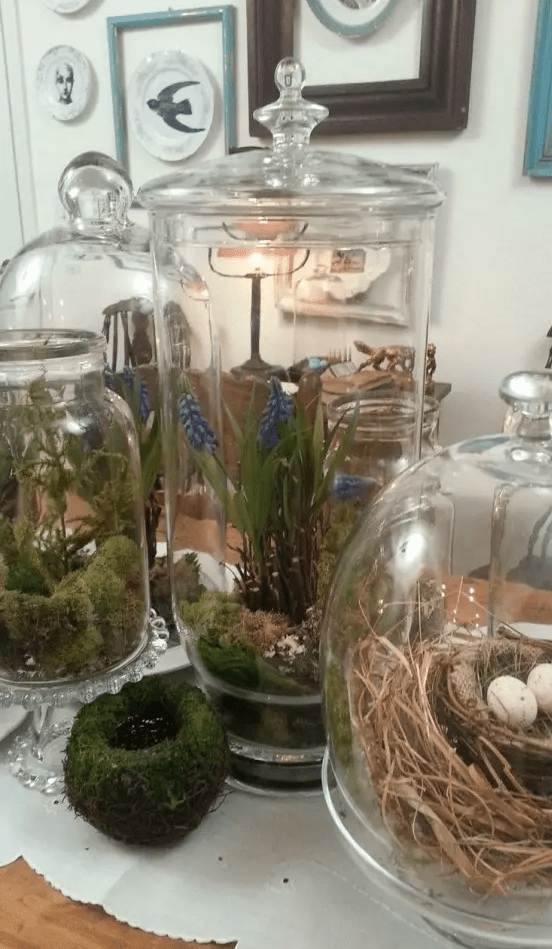 jars with moss, greenery, spring bulbs, branches, a faux nest and eggs are creative and fresh for spring decor