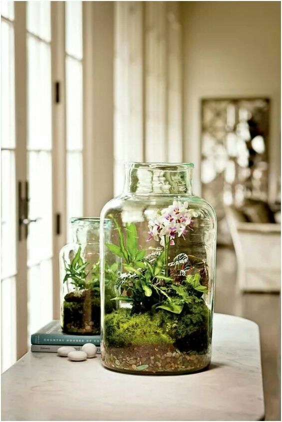large jars with greenery, moss and blooms are great for spring and summer, they will add a fresh feel to any room