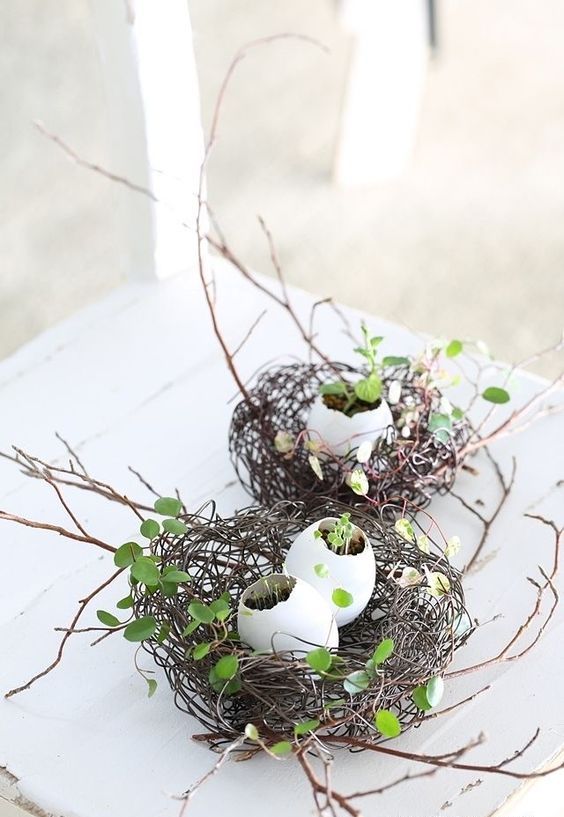 mini nests with greenery and twigs and egg shells with greenery inside are great for spring decorating