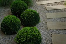 03 boxwood balls look cute and eye-catchy