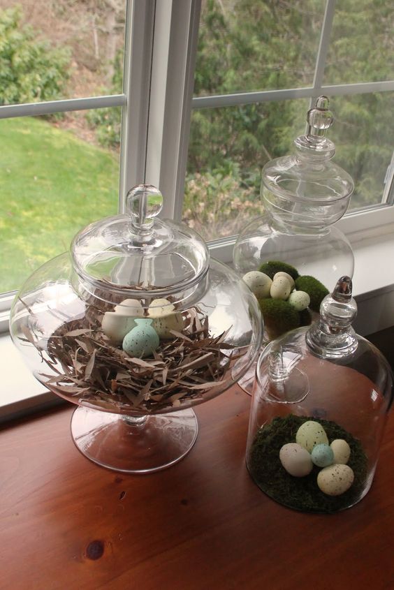 cloches and apothecary jars with a faux nest, moss and speckled eggs