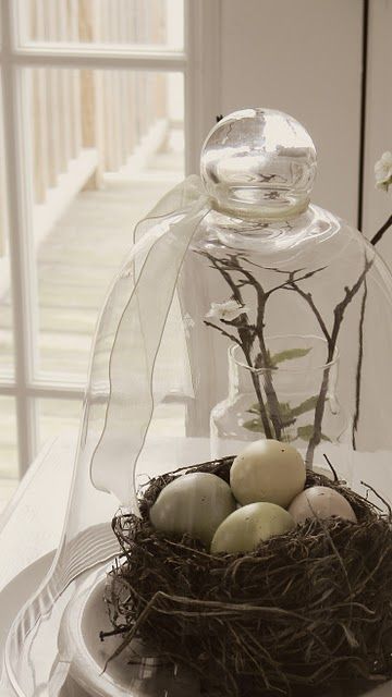 a cloche with a large nest and faux eggs