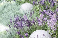 07 lavender and blue Fescue grass to highlight it