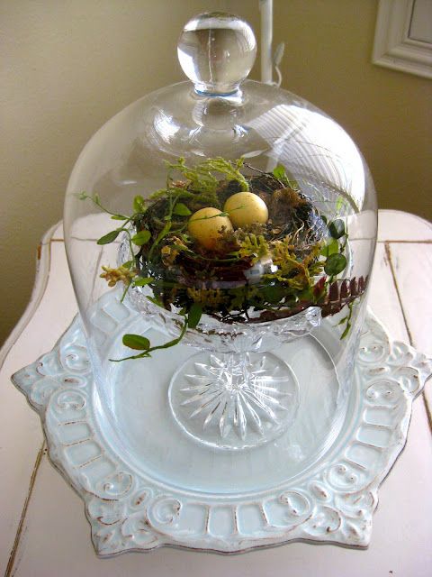 a cloche with a nest with greenery and eggs on a stand