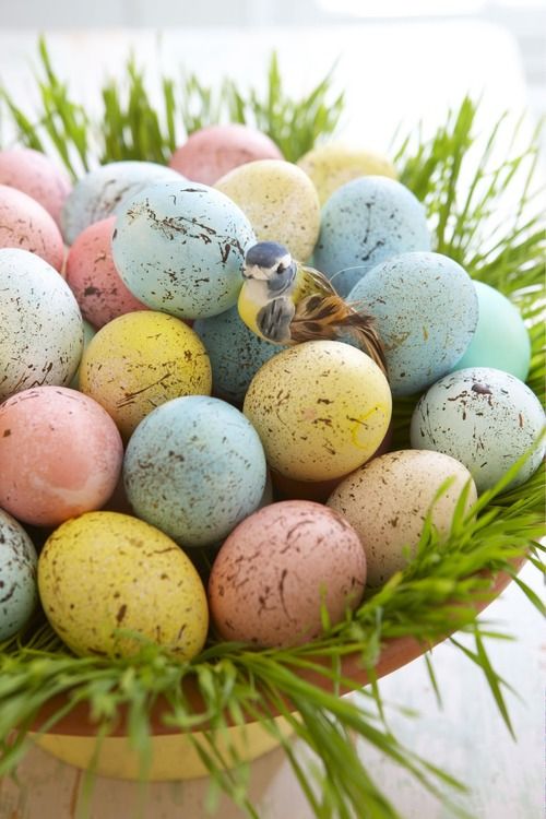 a bowl with green grass, pastel eggs and a faux bird