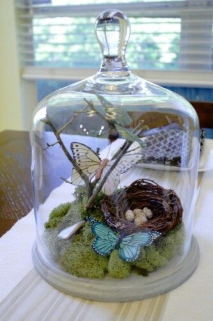 a cloche with moss, branches, butterflies and a nest with eggs