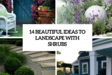 14 beautiful ideas to landscape with shrubs cover