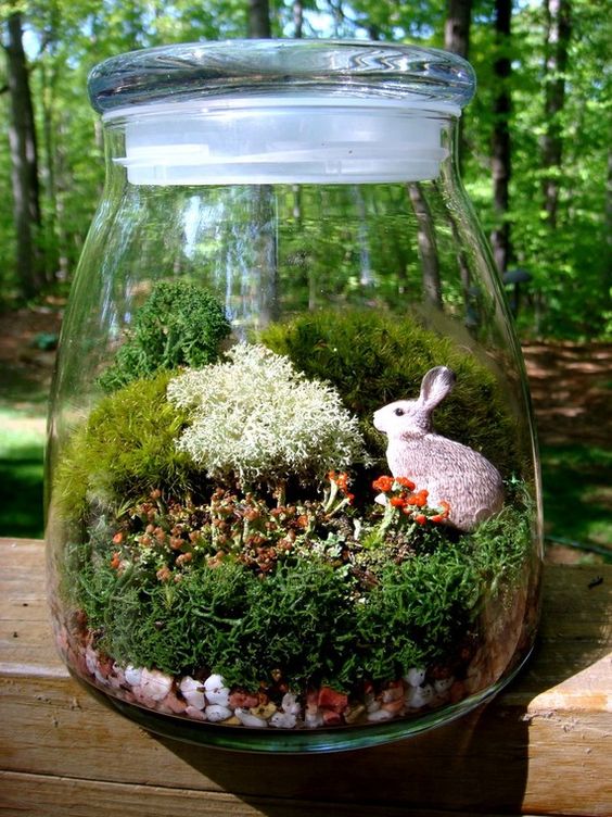 a simple jar terrarium with a little bunny and several kinds of moss