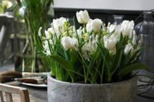 18 a tin can with white tulips and other spring blooms