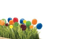 19 wheatgrass and colorful lollipop centerpiece