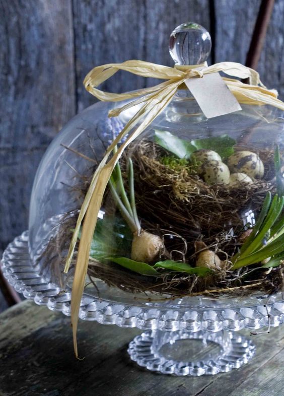 an Easter cloche centerpiece with a faux nest and eggs and some bulbs
