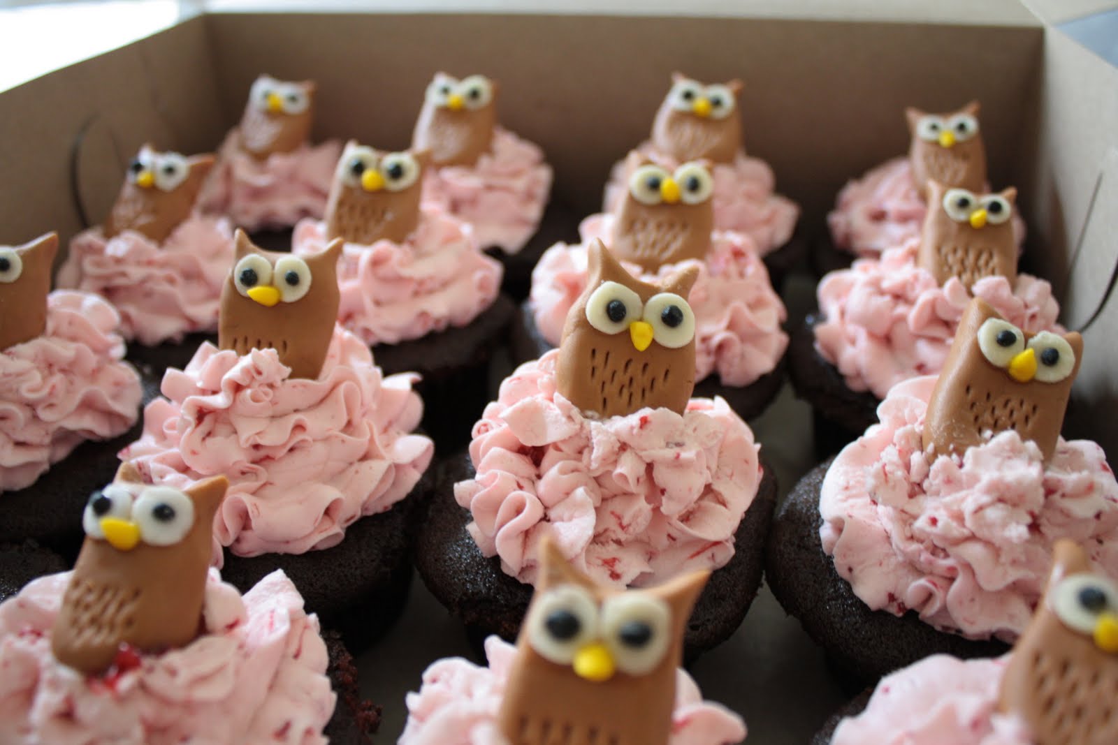 DIY chocolate owl cupcakes with strawberry raspberry Swiss meringue buttercream