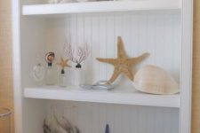 03 a display shelf with corals, starfish, shells is great for bathrooms