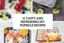 11 tasty and refresing diy popsicle recipes cover