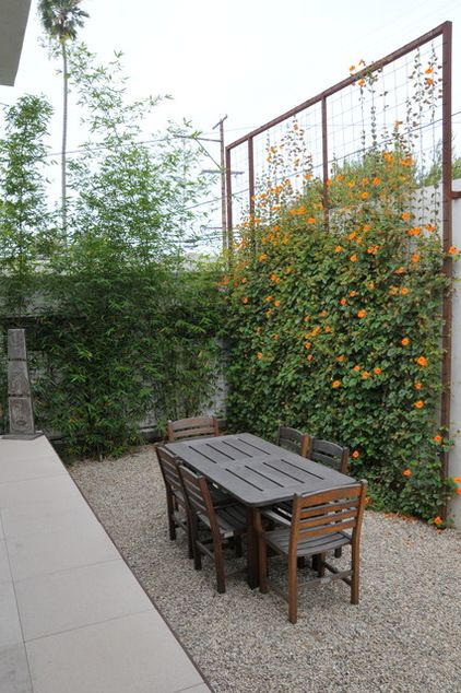 a real wall plus a tall trellis with vines makes the outdoor space feel more cozy and welcoming