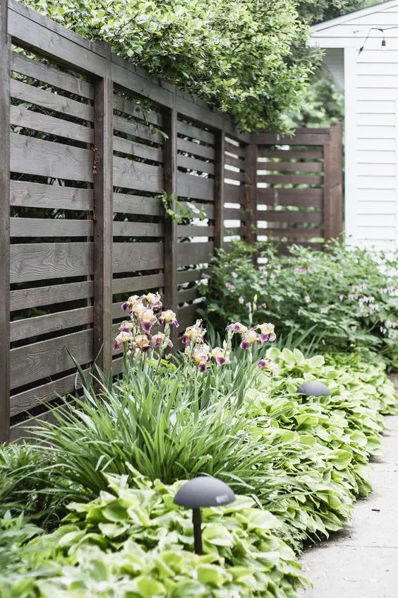 a stained fence and greenery and blooms along it are a cool solution for a modern space
