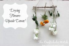 DIY dried flower hanging