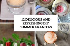 12 delicious and refreshing diy summer granitas cover