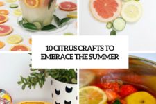10 diy citrus crafts to embrace the summer cover